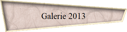 Galerie 2013