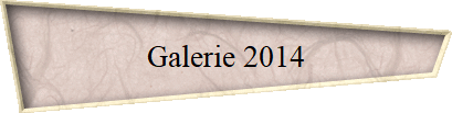 Galerie 2014