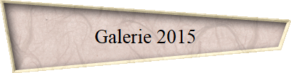 Galerie 2015