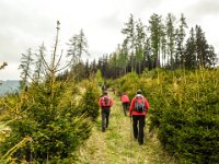 015 Aufstieg oberhalb der Brunner Alm