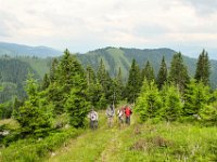 011 - wir kommen aus dem Wald auf offenes Gelaende