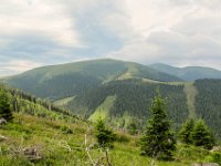 012 - ein Blick zum Laerchkogel, da wollen wir hin