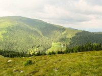 023 - ein Blick zur Zechneralm wo wir dann einkehren