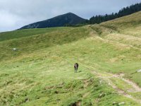 010 - im Hintergrund der Ochsenkogel (1580 m)