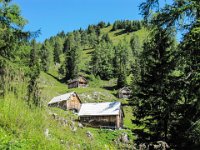 009 - Goessleralm (1540 m)