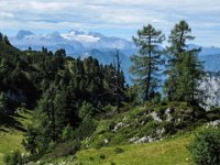 017 - Blick zum Dachstein