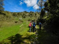 021 - Pillsteineralm 1490 m