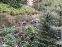 003 - erst geht es ueber eine Forststrasse