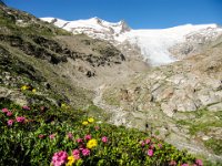 066 - Blick zurueck auf den Gross Venediger