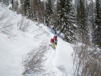 07 Zur Haeuslalm : Allakogel, Buchbergkogel, Schitour