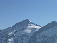 05 Wiesbachhorn Bratschenkopf