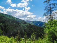 032 - Rueckblick zur Wiese bei der Pischkalm