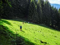 047 - Aufstieg nach der Jaga Alm