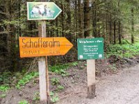 002 - unsere Richtung Schafferalm -Weiglmoaralm - Pfaffentaleralm