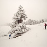021 Winter : Faschingswanderung, Hochschlag, Hofbauerhütte