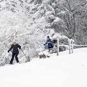 029 Abfahrt mit Fellen : Faschingswanderung, Hochschlag, Hofbauerhütte