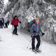 031 mit Schneeschuhen : Faschingswanderung, Hochschlag, Hofbauerhütte