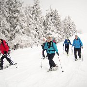 042 Vorwaerts : Faschingswanderung, Hochschlag, Hofbauerhütte