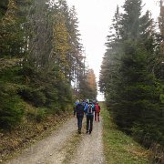 0003 unterwegs auf der Forststrasse