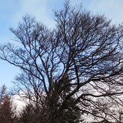 0011 teilweise blauer Himmel