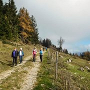 0019 aber auch die Sonne kommt hervor