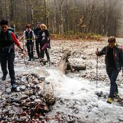 0002 nach den starken Regenfellen gab es noch viel Wasser