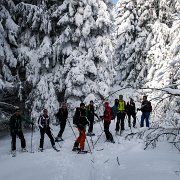 19 Im Wald : Ebenschlag, Schitour