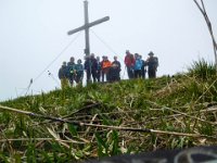 012 Hochschlag im Nebel