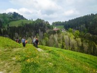 026 auf die Strasse zum Gh. Steinboecker