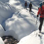 087 fast geschafft, jetzt nur mehr die Forststrasse