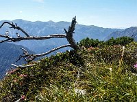 020 Blick in den Hochschwab, rechts Riegerin, liinks Hochschwabgipfel