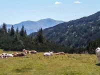 025 letzter Blick zum Hochschwab mit Schiestelhaus