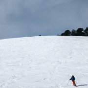 026 Unten : Lärchkogel, Schitour