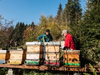10 Markus kontrolliert seine Bienen : FIT Marsch, Hochegg, Obersattler
