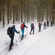 009 schoener Wald, hier sind wir sicher : Jassing, Neuwaldalm