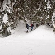 012 und wieder hinein in den Wald : Jassing, Neuwaldalm