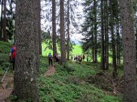 035 wir wandern durch den Wald