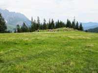 072 Rueckmarsch zur Bergstation Gabuehl