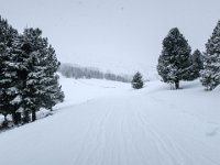 06 Nebelig : Winterleitenhütte